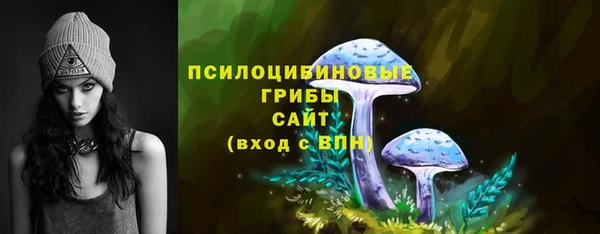 скорость Козловка