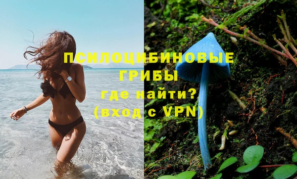 скорость Козловка